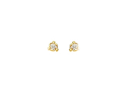 Gold Plated | Fashion Earrings